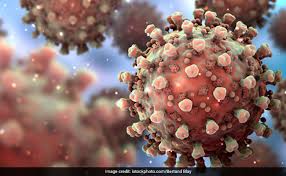 BANGALORE-REPORTS-COVID-REINFECTION-CASE