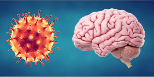 CORONA-VIRUS-MAY-ATTACK-BRAIN