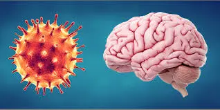 CORONA-VIRUS-MAY-ATTACK-BRAIN