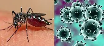 CORONA-DENGUE-TESTS-MANDATORY