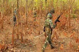 26MAOISTS-KILLED-IN-MAHARASHTRA-ENCOUNTER