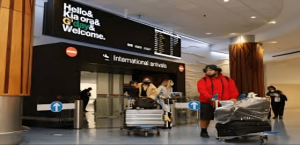 NEWZEALAND-TRIPLES-INTERNATIONAL-TOURIST-TAX